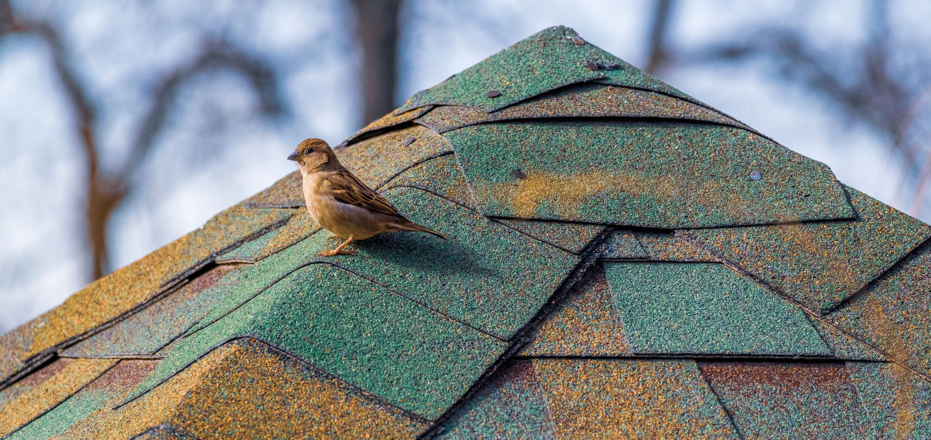 Roof Replacement — Peerless Enterprises