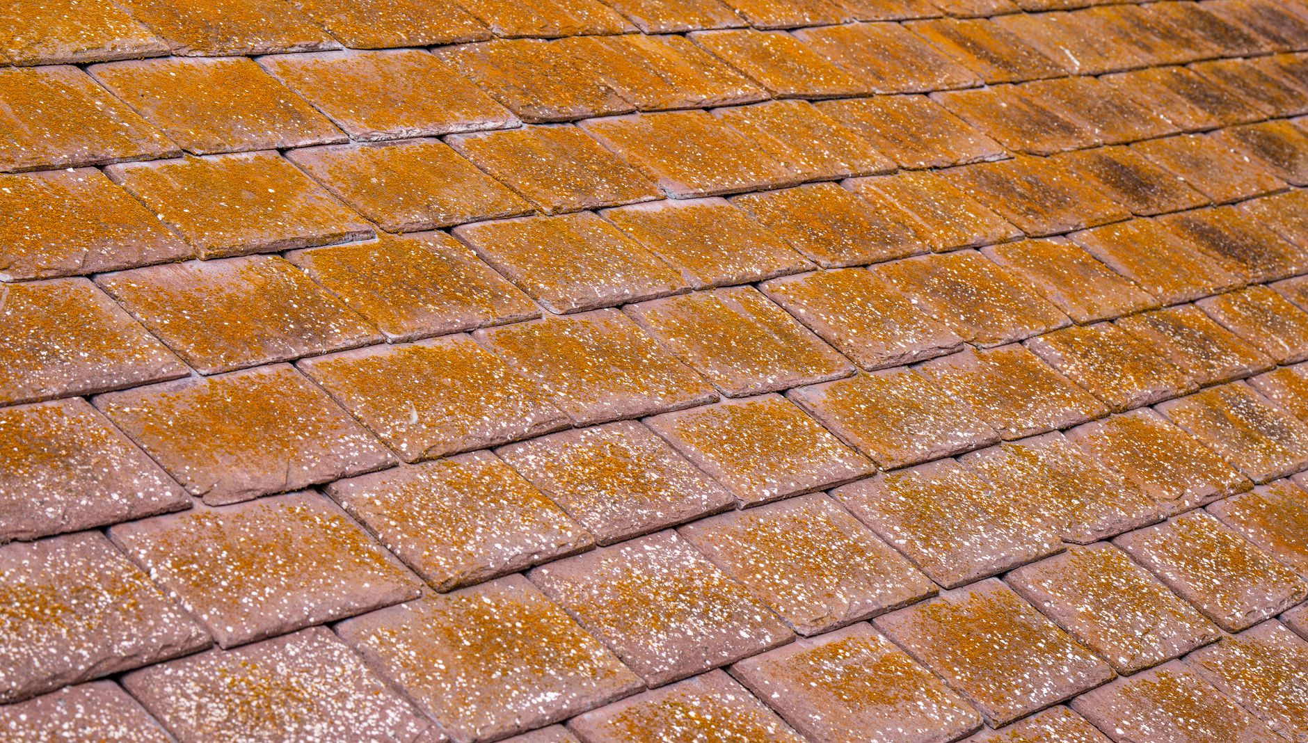 Gutter & Fascia Work – Belton